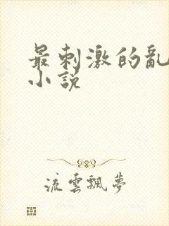 最刺激的乱子伦小说