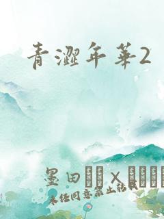 青涩年华2
