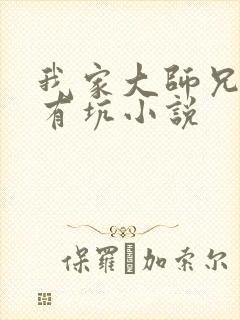 我家大师兄脑子有坑小说