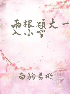 两根硕大一起挤入小雪