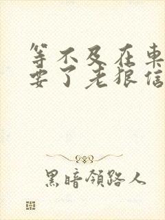 等不及在车里就要了老狼信息