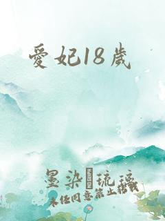 爱妃18岁