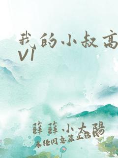 我的小叔高H1V1