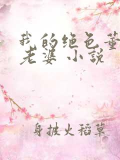 我的绝色董事长老婆 小说