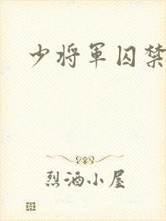 少将军囚禁我