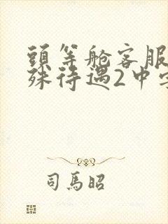 头等舱客服的特殊待遇2中字