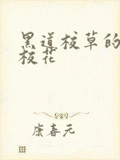 黑道校草的黑道校花