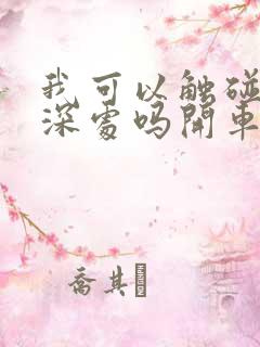 我可以触碰你的深处吗开车作文