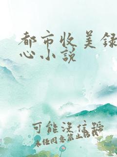 都市收美录宁素心小说