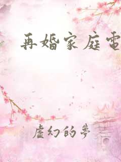 再婚家庭电视剧