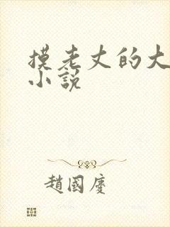 摸老丈的大牛子小说