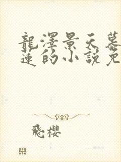 龙泽景天慕容青莲的小说免费阅读