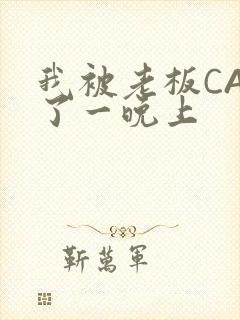 我被老板CAO了一晚上