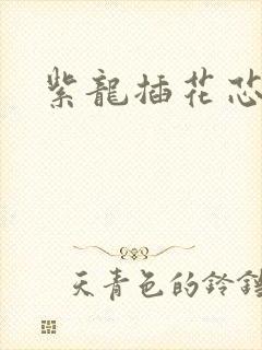 紫龙插花芯方正