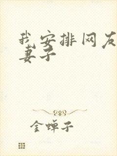 我安排网友开发妻子