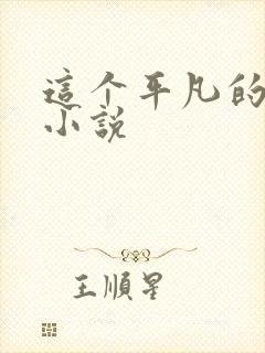 这个平凡的男子小说