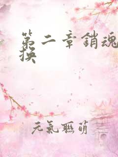 第二章销魂的交换