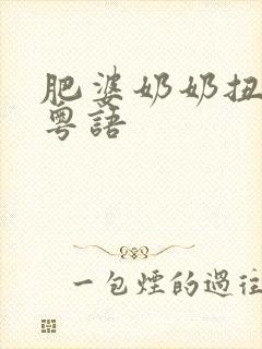 肥婆奶奶扭计媳粤语