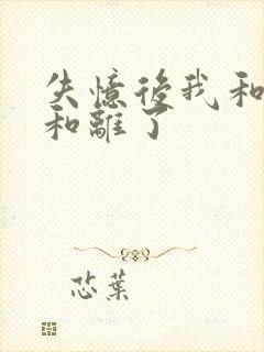 失忆后我和王爷和离了