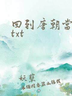 回到唐朝当皇帝txt