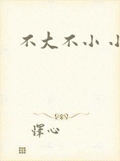 不大不小 小说