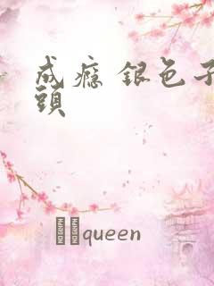 成瘾 银色子弹头