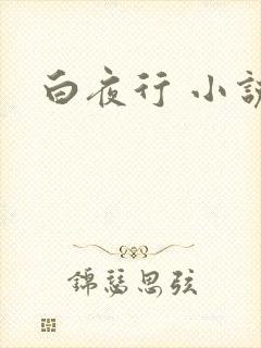 白夜行 小说