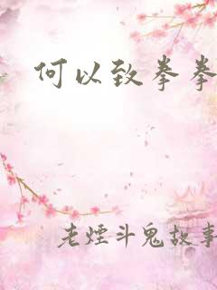 何以致拳拳番外