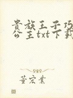 贵族王子巧遇穷公主txt下载