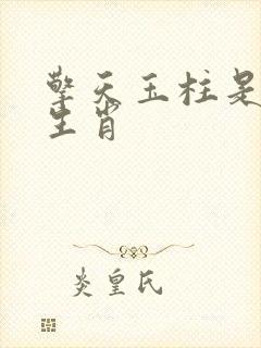 擎天玉柱是什么生肖