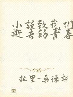 小说致我们终将逝去的青春