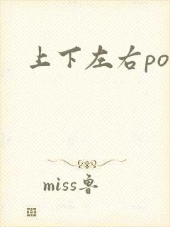 上下左右po