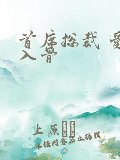 首席总裁 爱你入骨