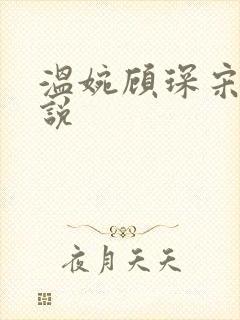 温婉顾琛宋芝小说