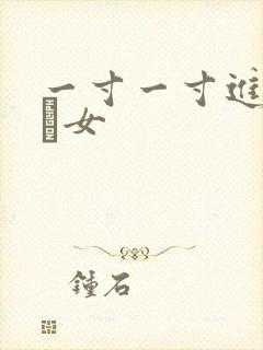 一寸一寸进入小姪女