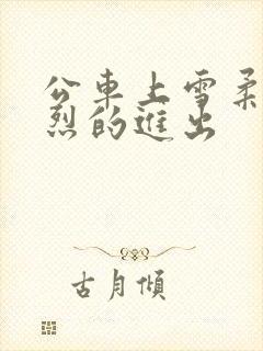 公车上雪柔被猛烈的进出