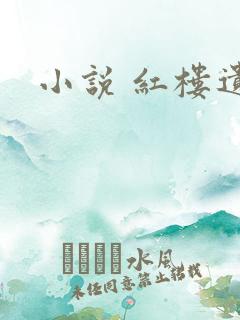 小说 红楼遗秘