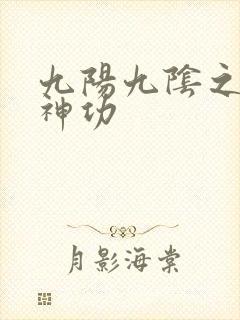 九阳九阴之阴阳神功
