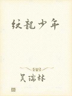 纹龙少年