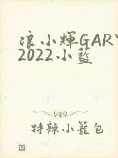 浪小辉GARY2022小蓝