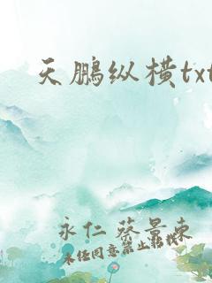 天鹏纵横txt