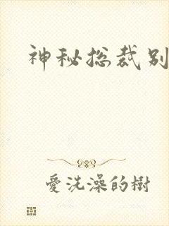 神秘总裁别玩我