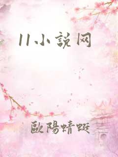 11小说网
