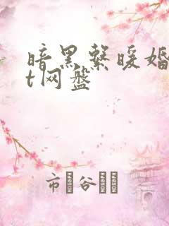 暗黑系暖婚txt网盘