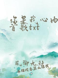 你是我心内的一首歌txt