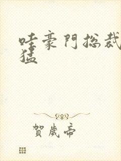 哇豪门总裁真凶猛