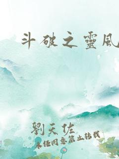 斗破之灵风