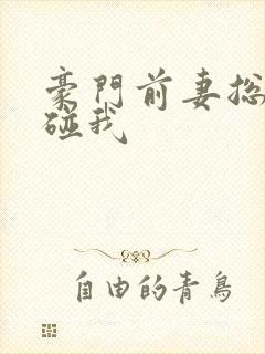 豪门前妻总裁别碰我