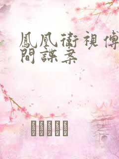 凤凰卫视傅晓田间谍案