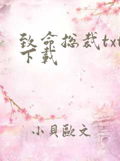 致命总裁txt下载